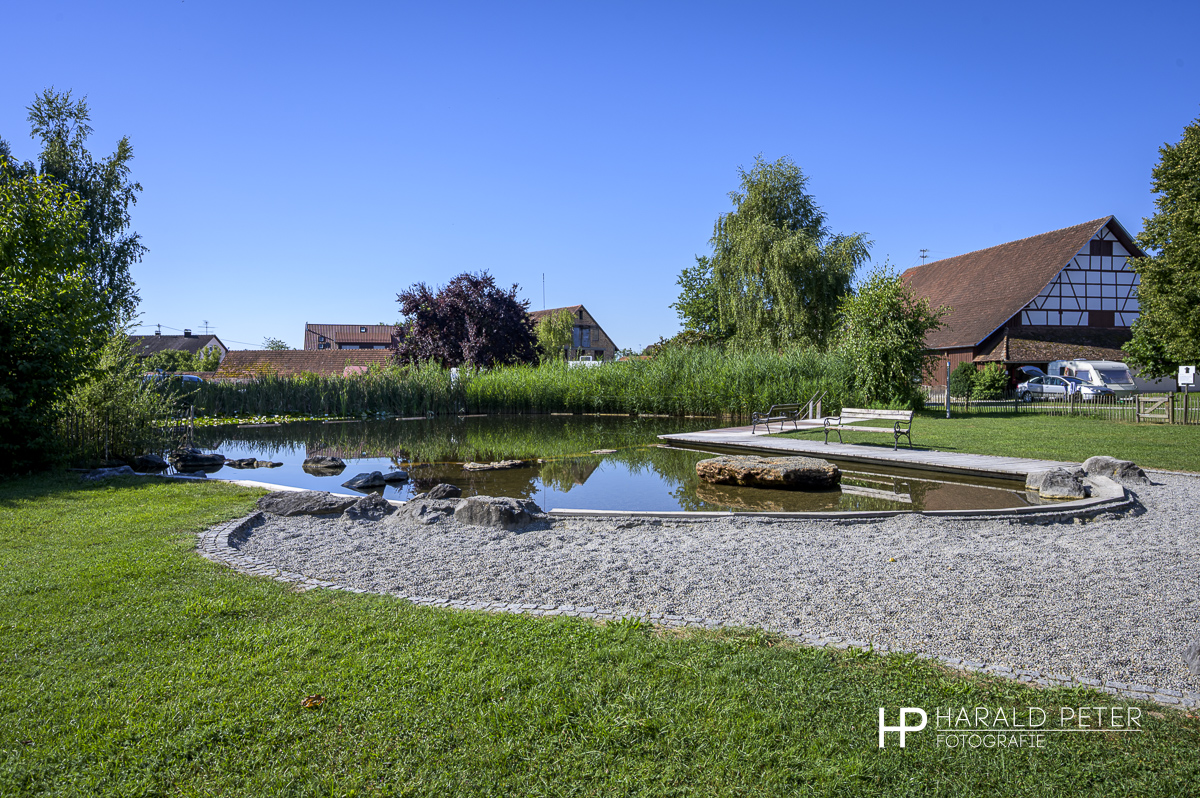 Ferienhof Kramer Panorama am Naturschwimmteich