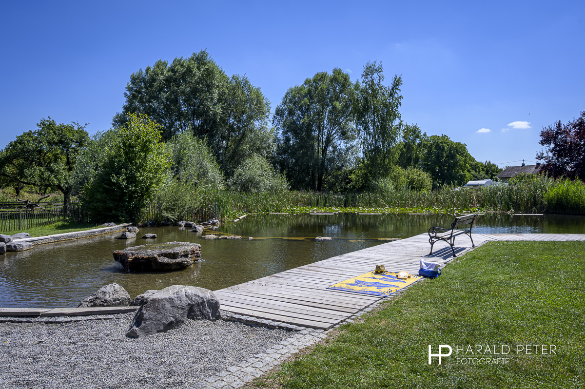 Ferienhof Kramer Naturschwimmteich